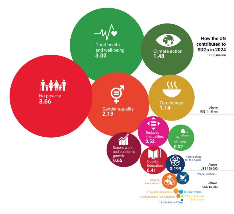 How the UN contributed to the SDGs in 2024